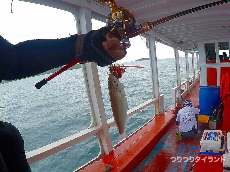 タイラバで釣ったナッカリン