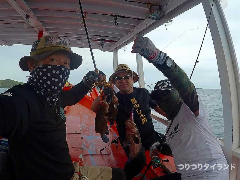 アオスジハタを釣る