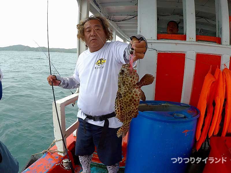 コウちゃん カンモンハタ タイラバで釣る