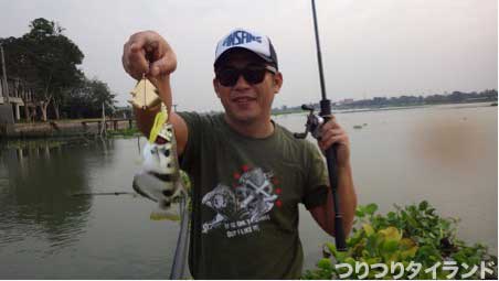 鉄砲魚 テッポウウオ チャオプラヤ川で釣る