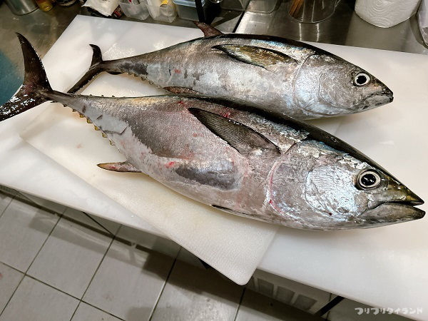 まな板のマグロ