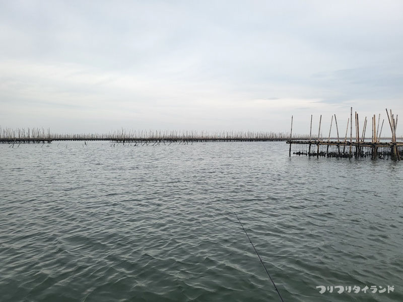 タイの牡蠣筏