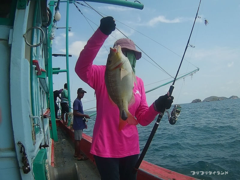 タイで釣ったシモフリフエダイ