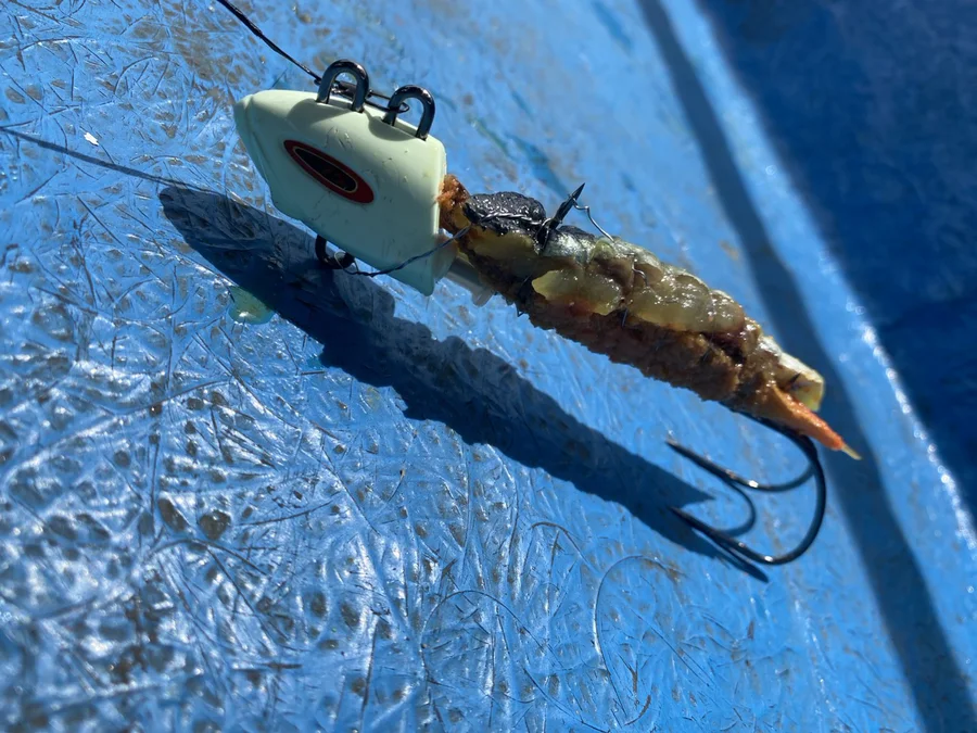 タチウオテンヤとエサ