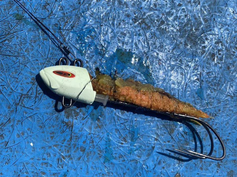 タイのタチウオ仕掛け