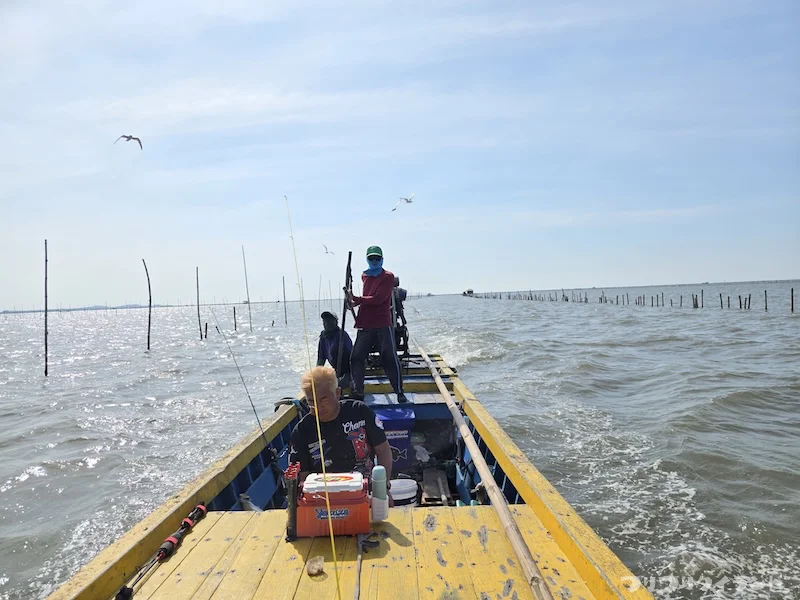 バーンサーイ沖の海