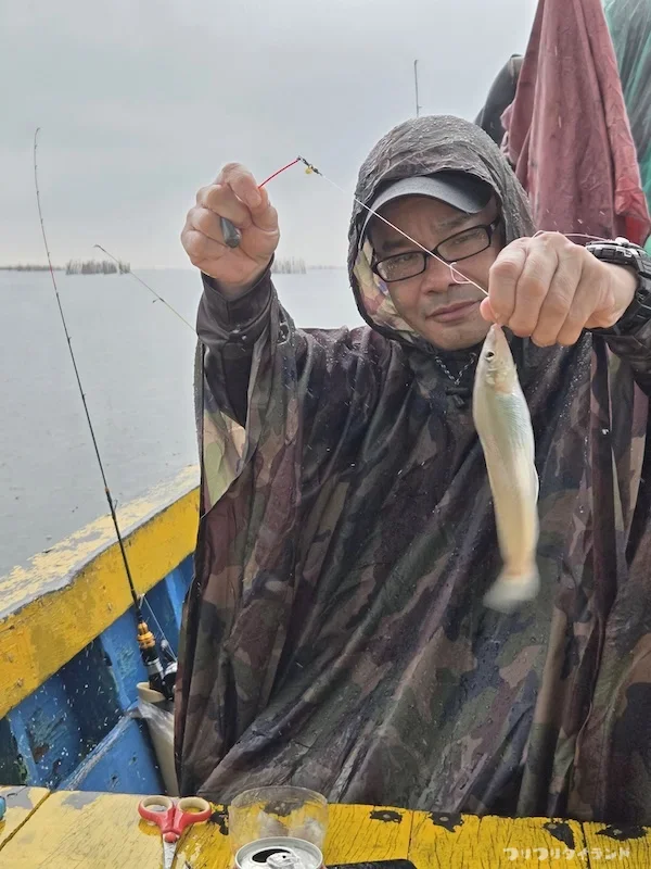 タイランド湾で釣れたキス