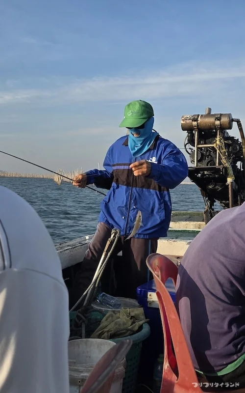 チョンブリ キス釣り