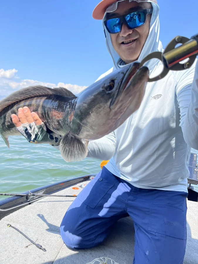 シーナカリンダムのチャドー